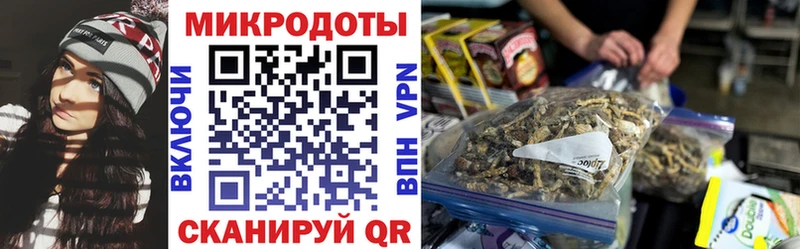 Псилоцибиновые грибы GOLDEN TEACHER Кировск