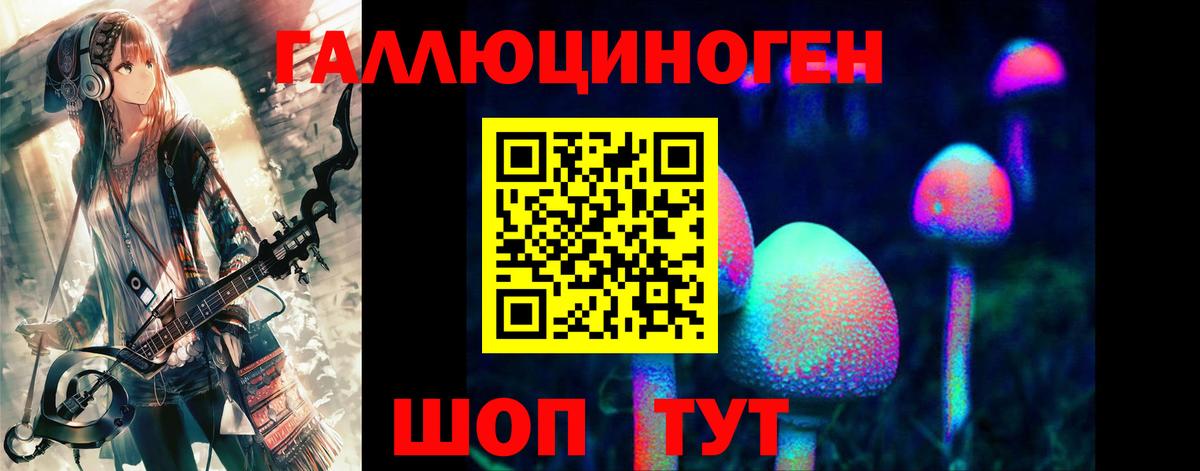 Галлюциногенные грибы Psilocybe  Кировск  даркнет сайт  Галлюциногенные грибы Cubensis 