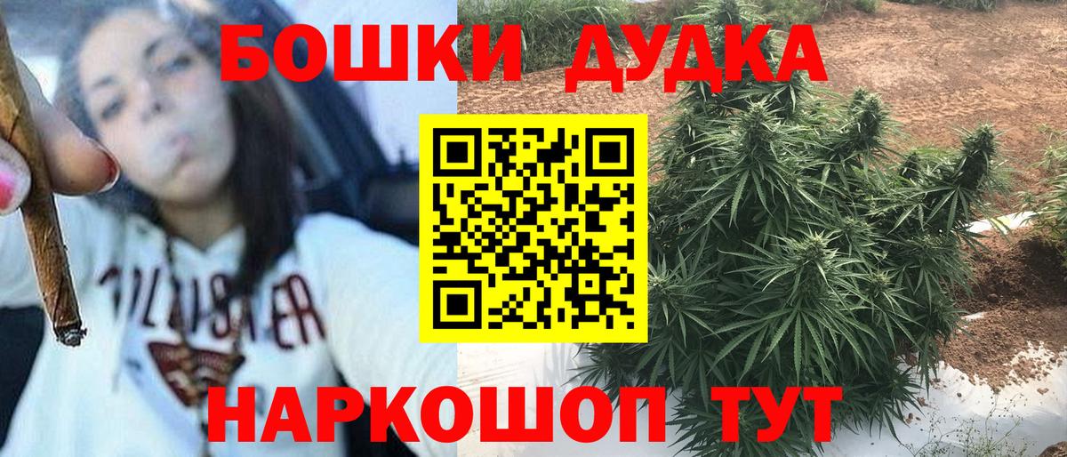 Конопля гибрид Кировск